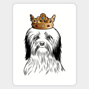 Havanese Dog King Queen Wearing Crown Magnet